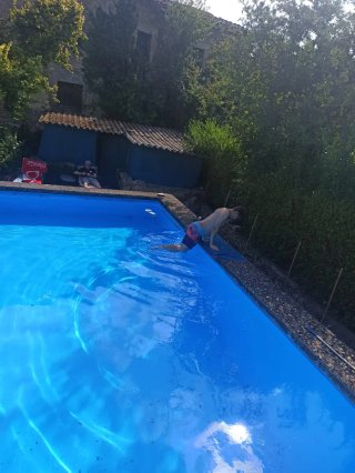 Casa con terreno y piscina