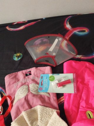 Lote Accesorios Perro Yorkshire