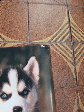 Poster gigante 1992