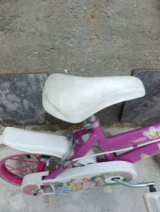 Bicicleta Niña Princesas 20 Rosa