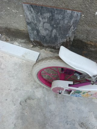 Bicicleta Niña Princesas 20 Rosa
