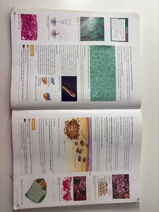 Inicia dual Biología y geología 1 Bachillerato