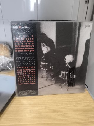 Vinilo The Primitives Indie