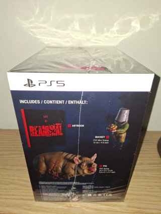 Reanimal Collector's Edition Ps5