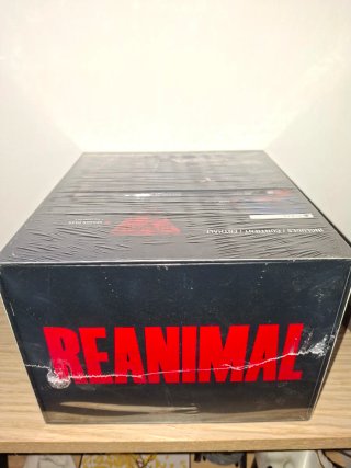 Reanimal Collector's Edition Ps5