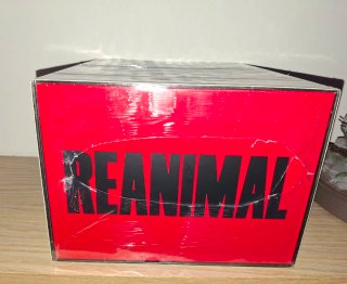 Reanimal Collector's Edition Ps5