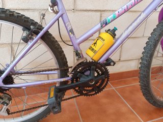 Bicicleta Morada Ruedas 24