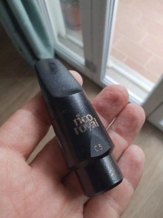 Sax alto becco Rico Royal C5