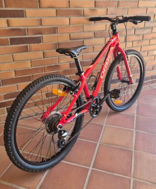 Bici per bambini Orbea MX 24 Dirt leggera come nuova