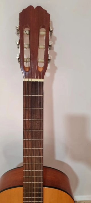 Guitarra Clásica Rocio con funda