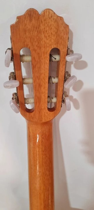 Guitarra Clásica Rocio con funda