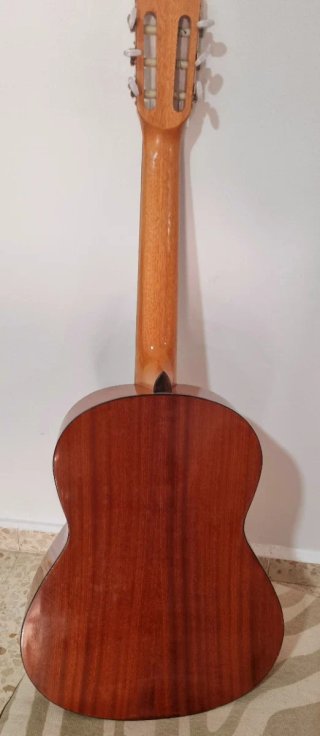 Guitarra Clásica Rocio con funda