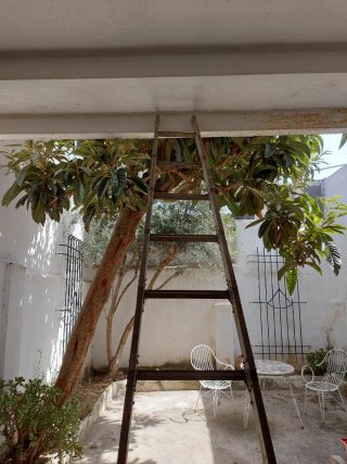 Escalera profesional multiusos