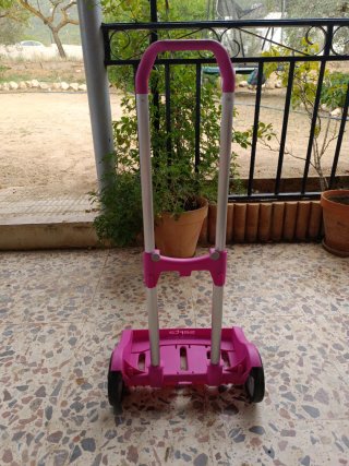 Carro Safta infantil