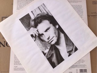 Vinilo de Sting, Nothing like the Sun