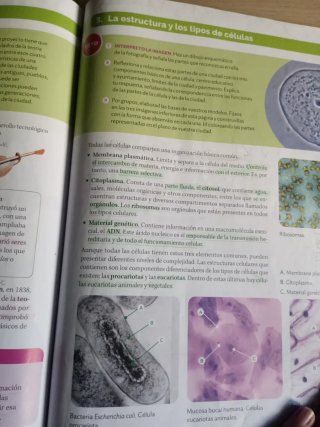 Biología y Geología Andalucía. 4o ESO