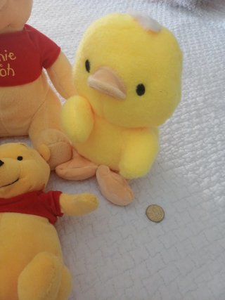 Set 6 peluche gialli