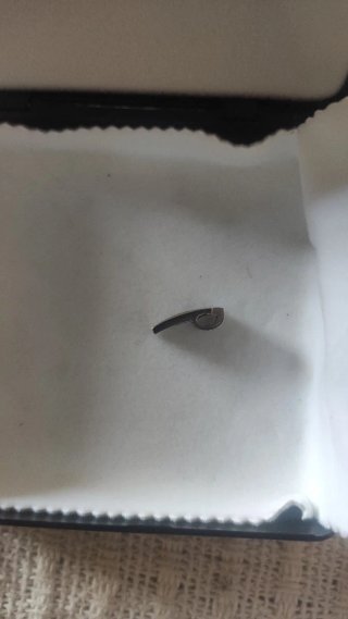 Colgante de plata