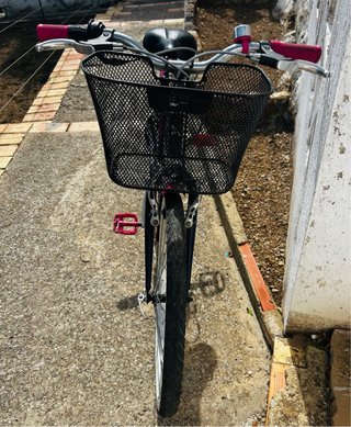 Bicicleta infantil azul y rosa.