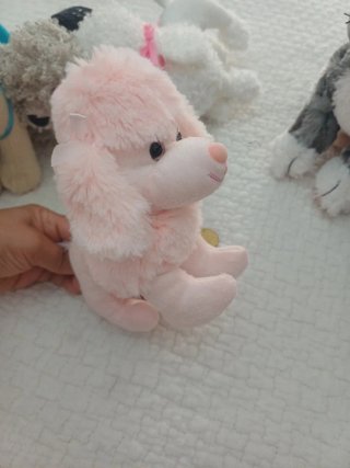 Set peluche gatti e cani da collezione