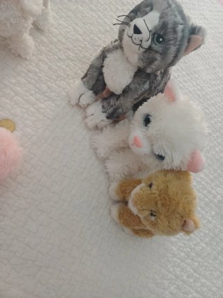 Set peluche gatti e cani da collezione