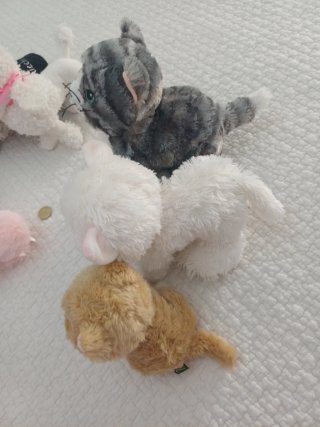Set peluche gatti e cani da collezione