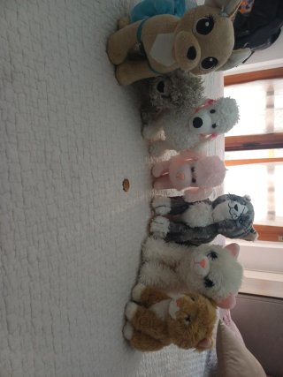 Set peluche gatti e cani da collezione