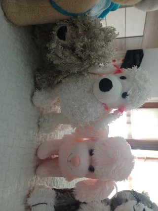 Set peluche gatti e cani da collezione