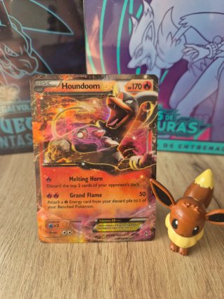 Carta Pokémon Houndoom EX 170 HP