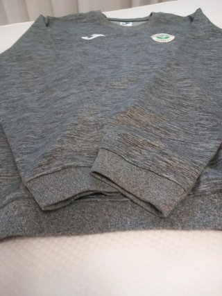 Sudadera Joma Gris Fundación Lucena C.F.