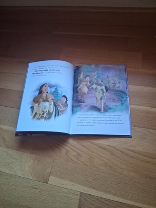 Pocahontas el viaje del invierno