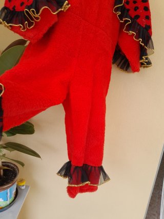 Costume da coccinella per Carnevale