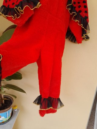 Costume da coccinella per Carnevale