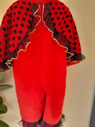 Costume da coccinella per Carnevale