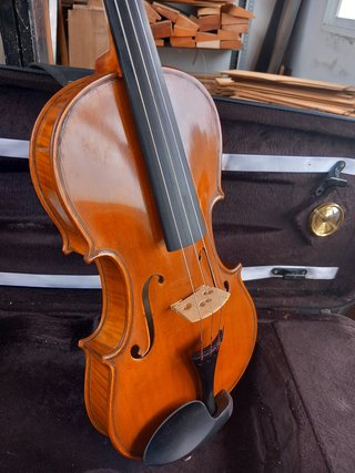Violín con funda