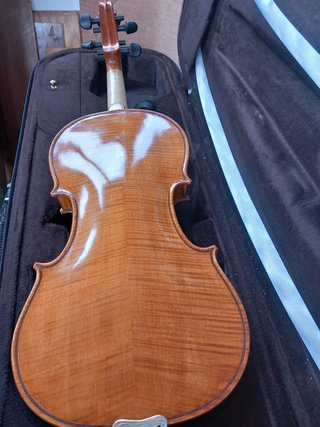 Violín con funda