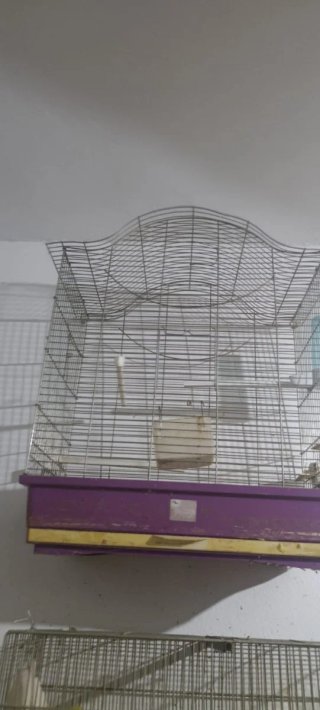 Jaula para pájaros