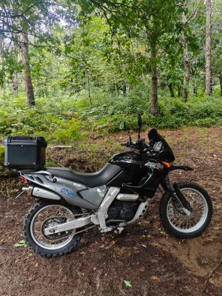 Aprilia Pegaso 650