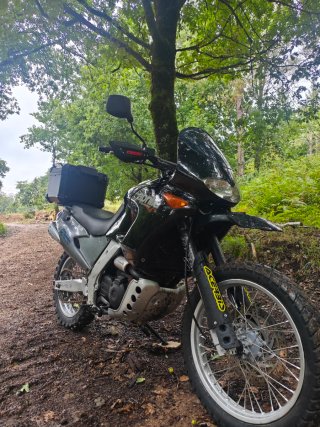 Aprilia Pegaso 650