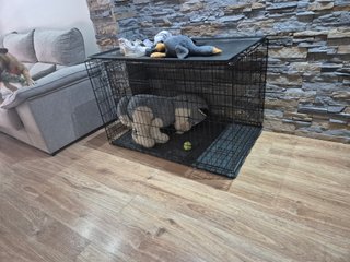 Jaula transportín perro XXL practicamente nueva