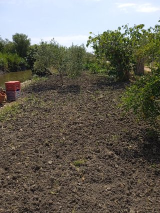 Terreno 2000m2 en Castellón.