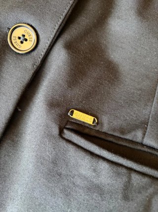 Blazer Guess