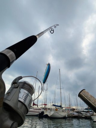 Equipo de Pesca, Equipo Currican EVIA, Kayak