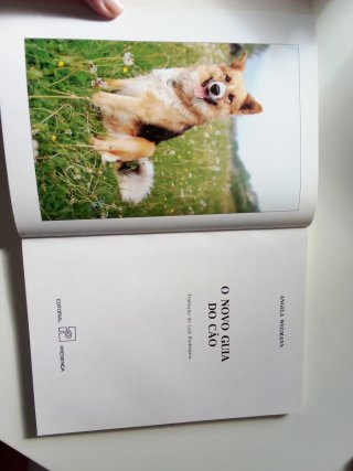 O novo guia do cão