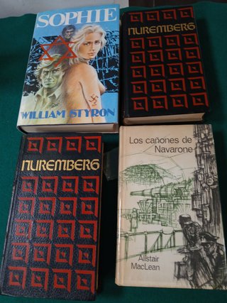 Lote 4 Libros II Guerra mundial (Leer)