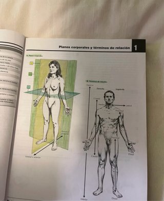 Netter Cuaderno de anatomía para colorear