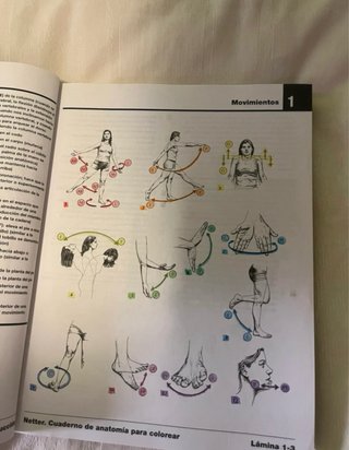 Netter Cuaderno de anatomía para colorear