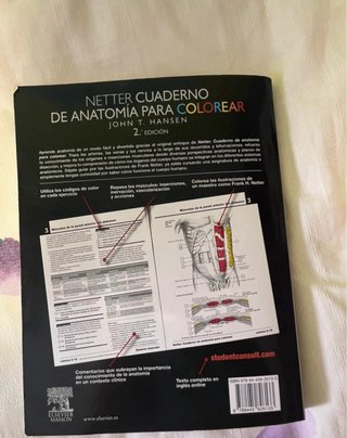 Netter Cuaderno de anatomía para colorear