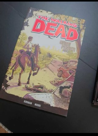 The Walking Dead Fumetti Vol. 1-16 edizione GdS