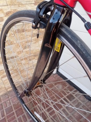 Bicicleta Carrera Zelos